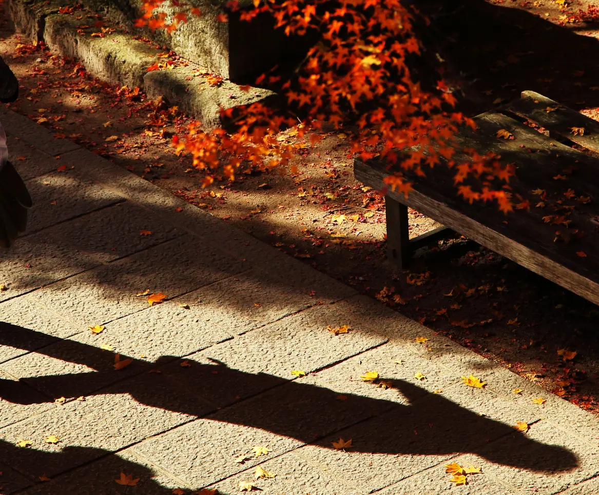 ひきこもり遍路について
