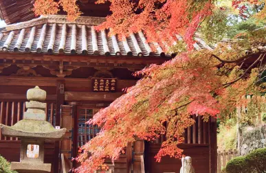 紅葉とお寺の画像