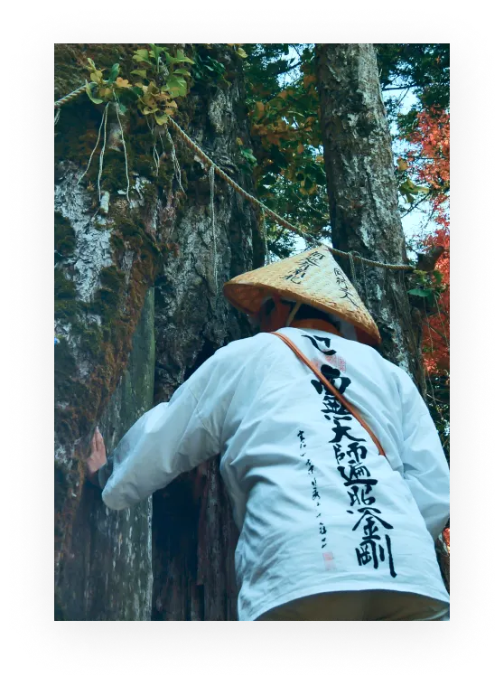 白衣を着て木に触れている人